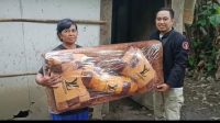 IMG-20211124-WA0033