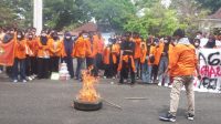 IMG-20220309-WA0002