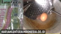 IMG-20220309-WA0019