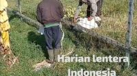 IMG-20260810-WA0046